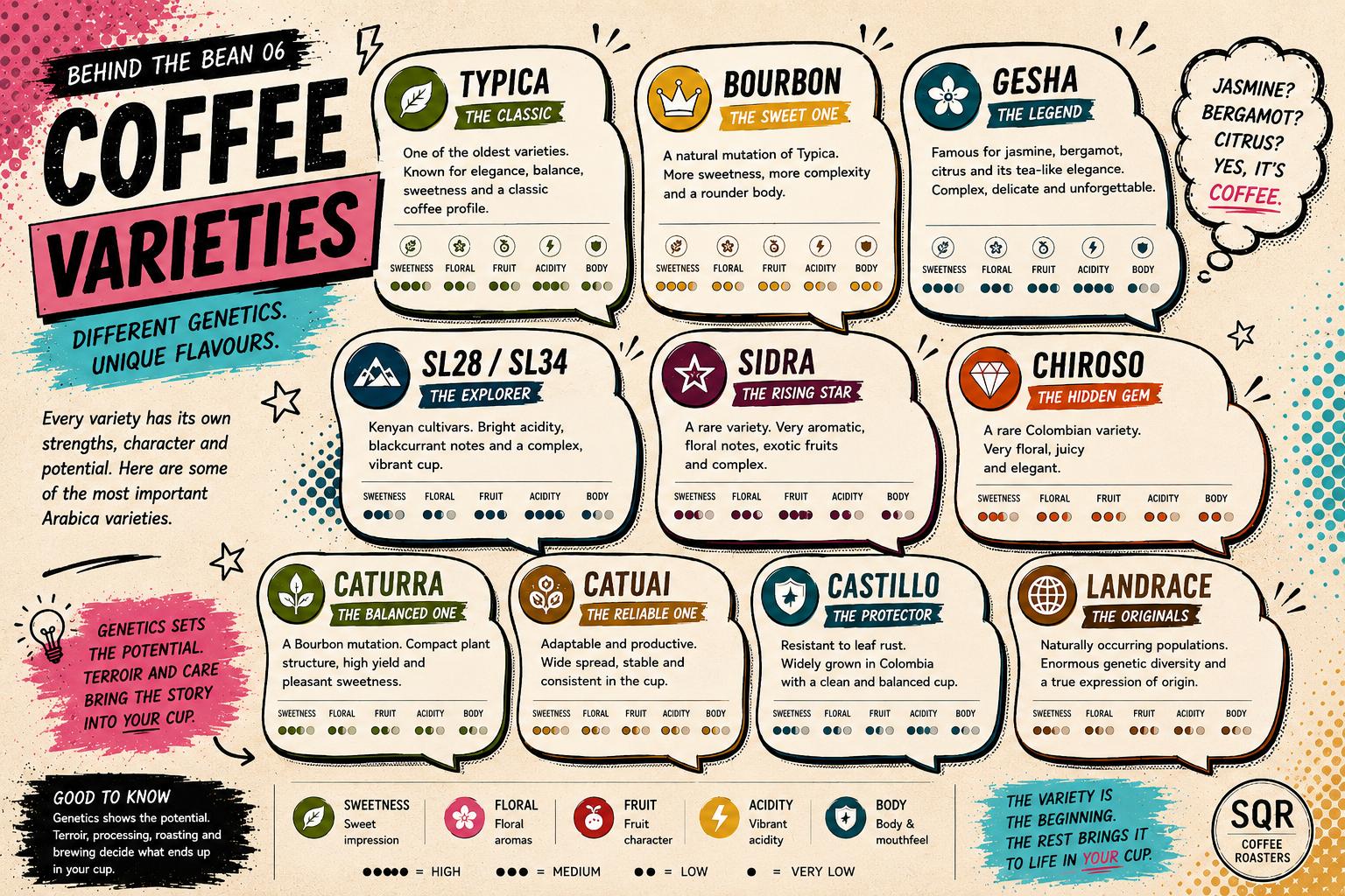 Coffee Varieties