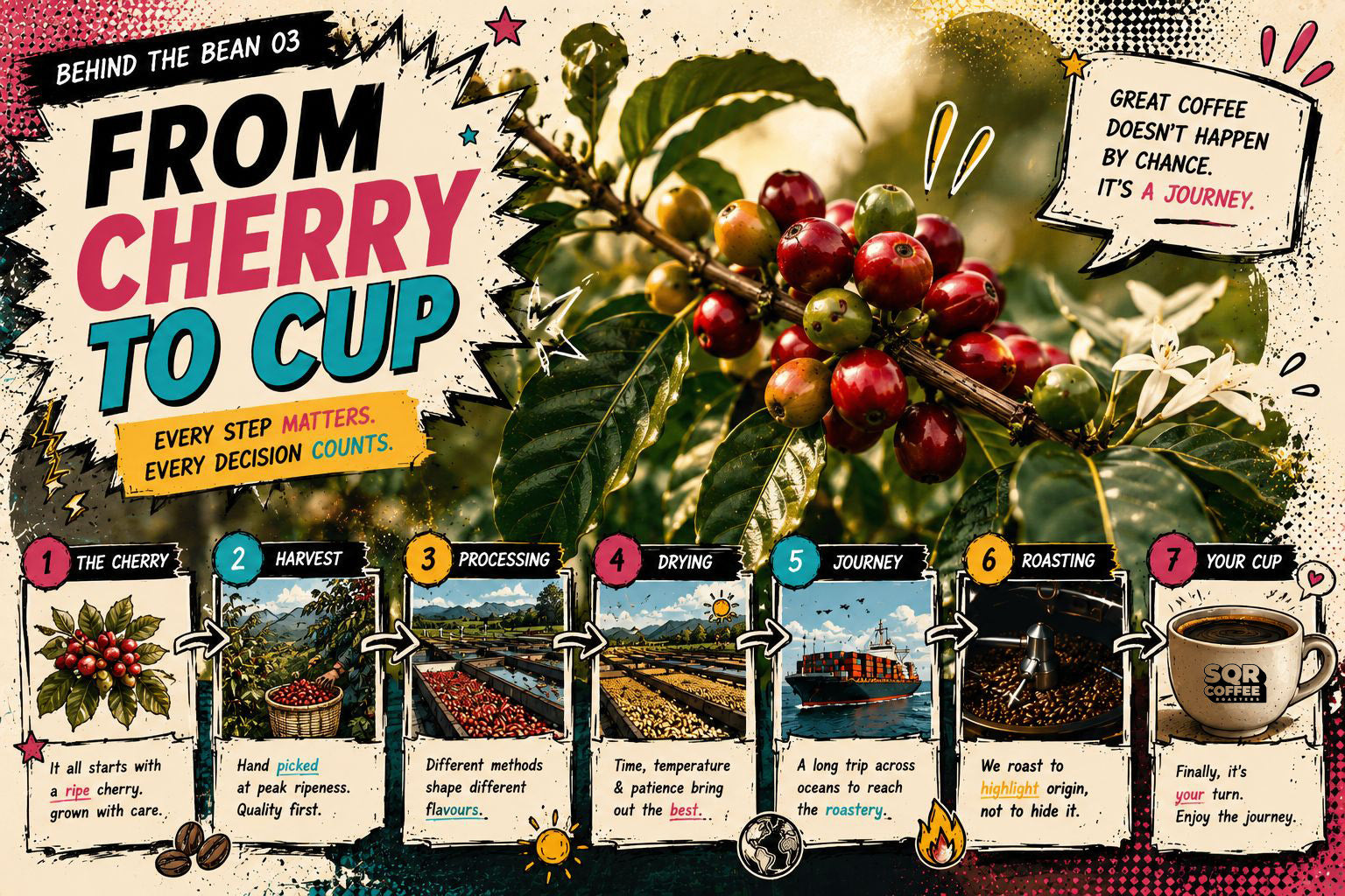From Cherry to Cup
