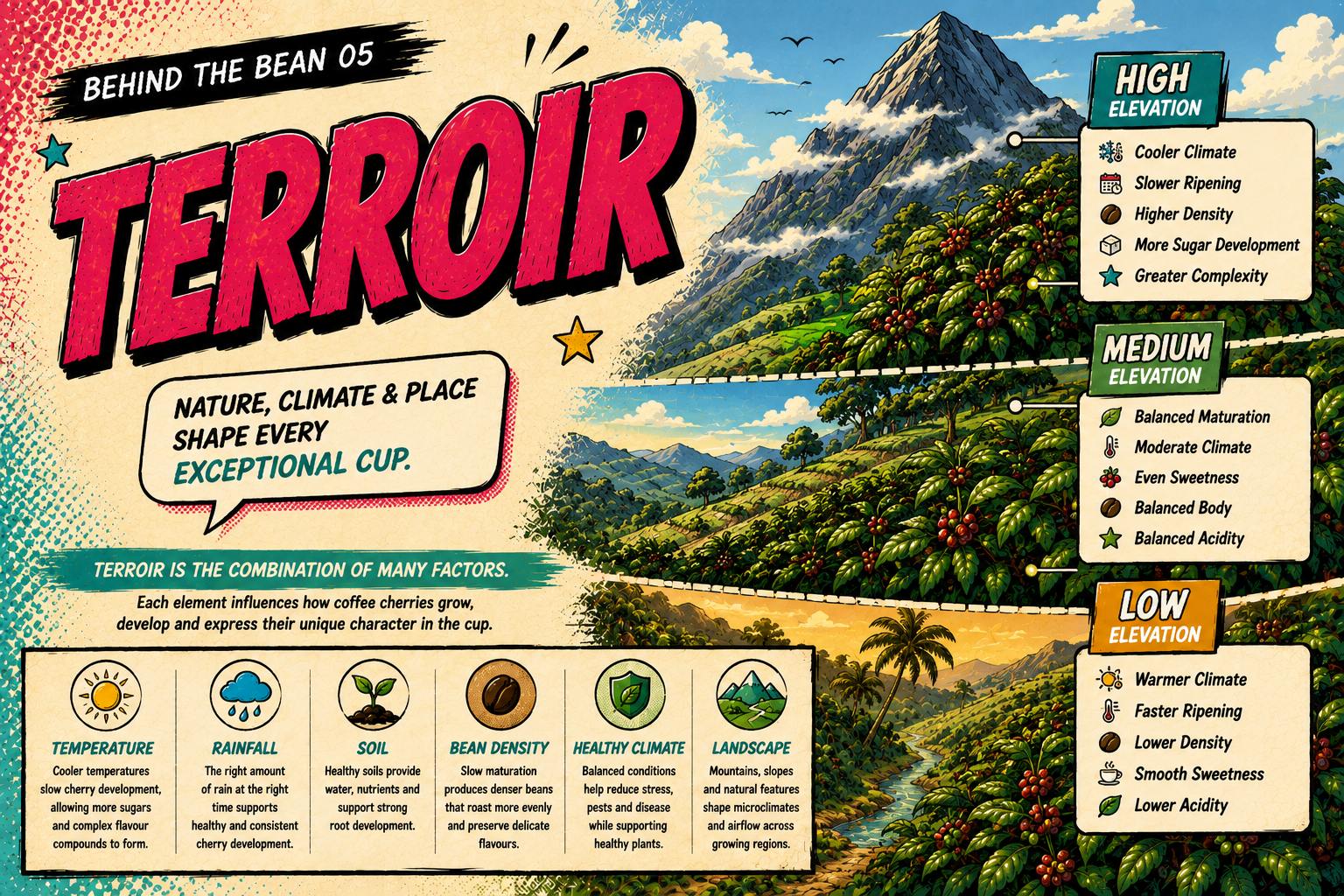 Terroir