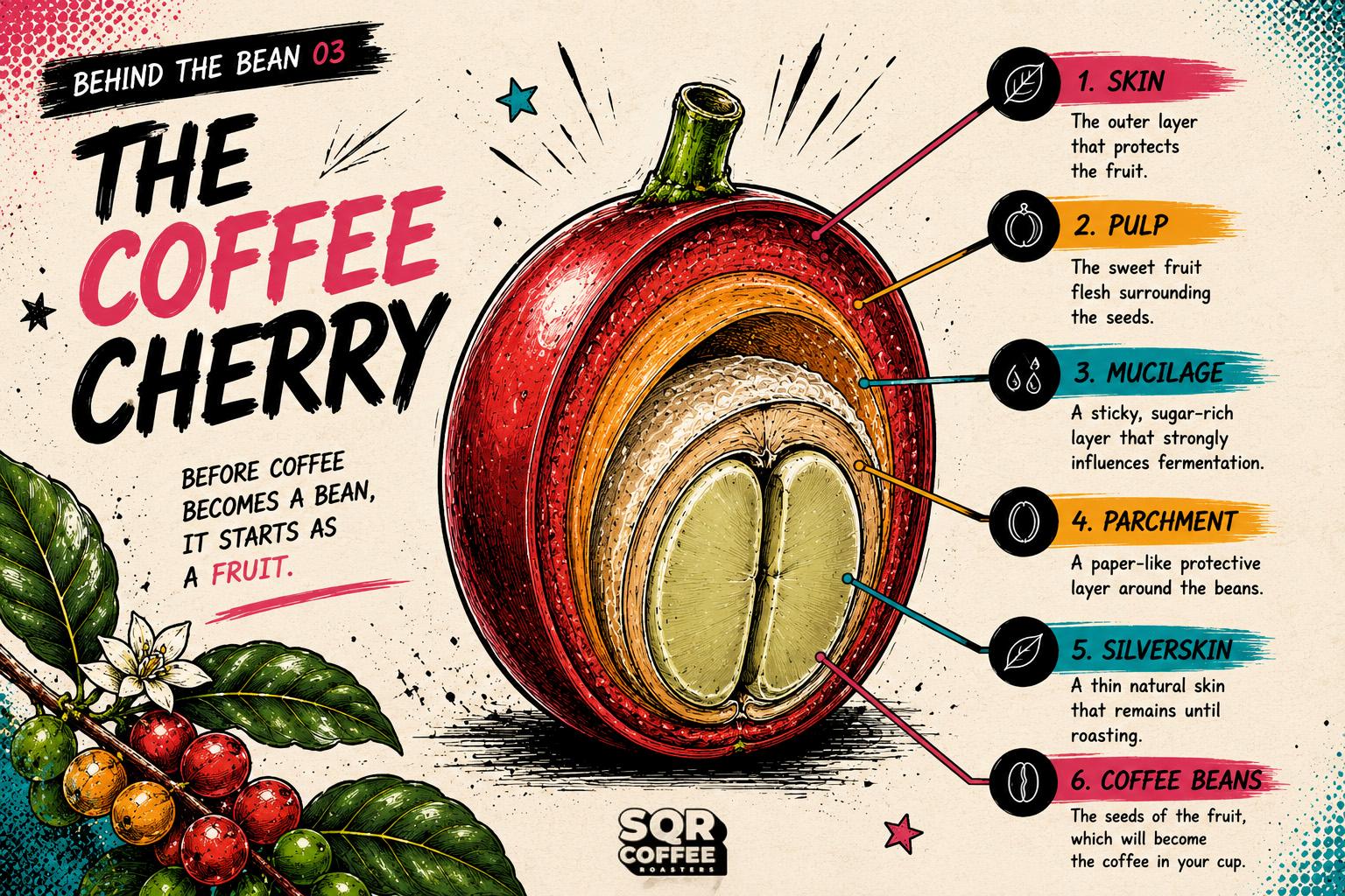 The Coffee Cherry
