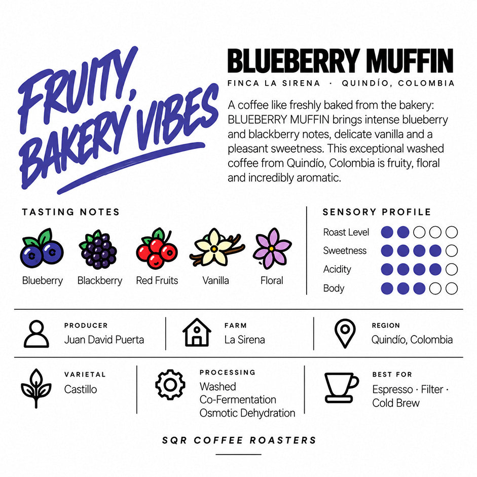 Blueberry Muffin