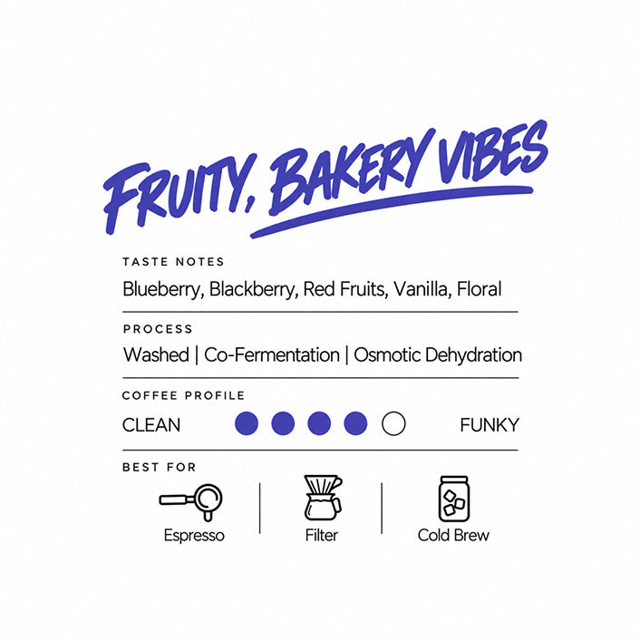 Blueberry Muffin