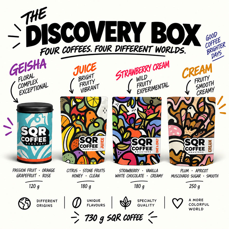 THE DISCOVERY BOX
